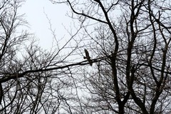 Killikus&reg; Fotographie